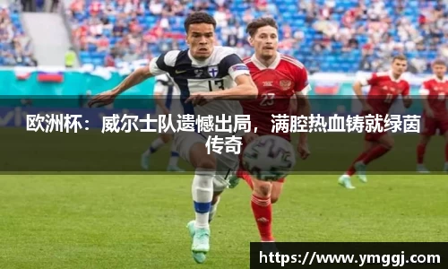 欧洲杯：威尔士队遗憾出局，满腔热血铸就绿茵传奇