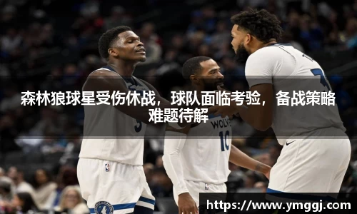森林狼球星受伤休战，球队面临考验，备战策略难题待解