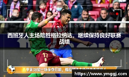 JN江南下载