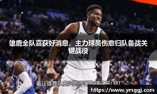 雄鹿全队喜获好消息，主力球员伤愈归队备战关键战役