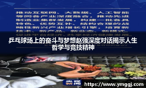 乒乓球场上的奋斗与梦想赵强深度对话揭示人生哲学与竞技精神