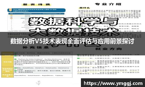 数据分析V5技术表现全面评估与应用前景探讨