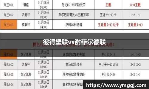 彼得堡联vs谢菲尔德联