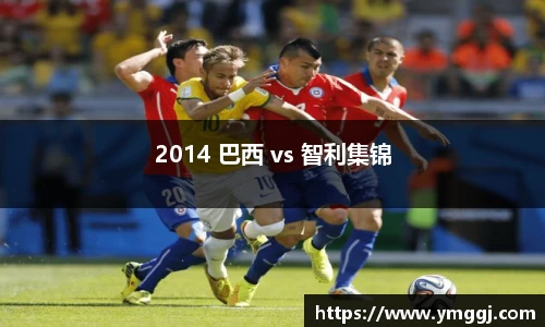2014 巴西 vs 智利集锦