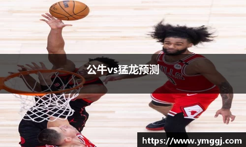 公牛vs猛龙预测