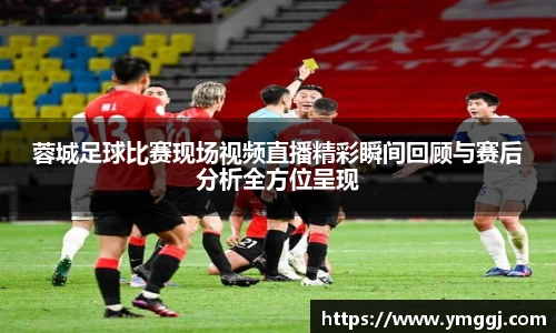 蓉城足球比赛现场视频直播精彩瞬间回顾与赛后分析全方位呈现