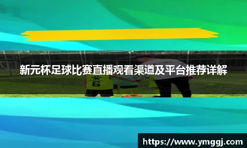 新元杯足球比赛直播观看渠道及平台推荐详解