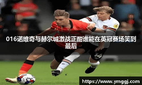 016诺维奇与赫尔城激战正酣谁能在英冠赛场笑到最后