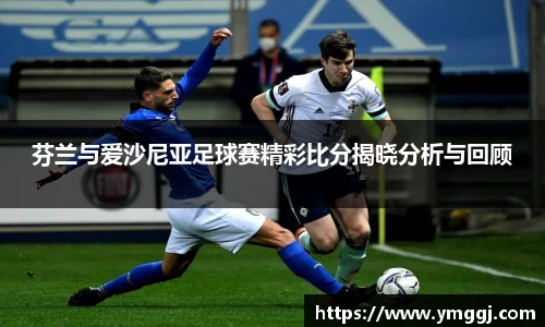 芬兰与爱沙尼亚足球赛精彩比分揭晓分析与回顾